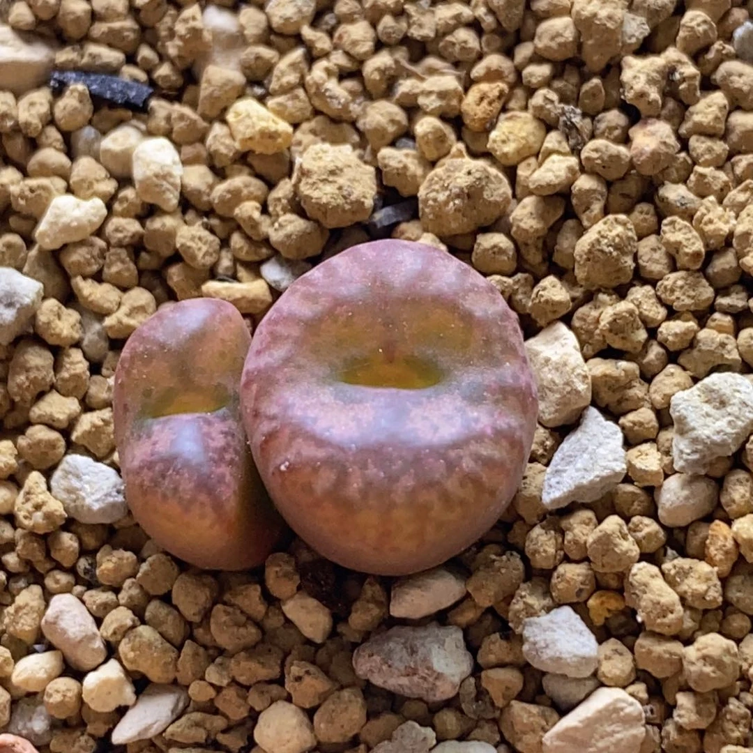 好看好看好看好看