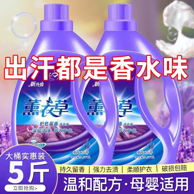 薰衣草香型洗衣液家用持久留香72小时香水官方正品品牌手洗男士女