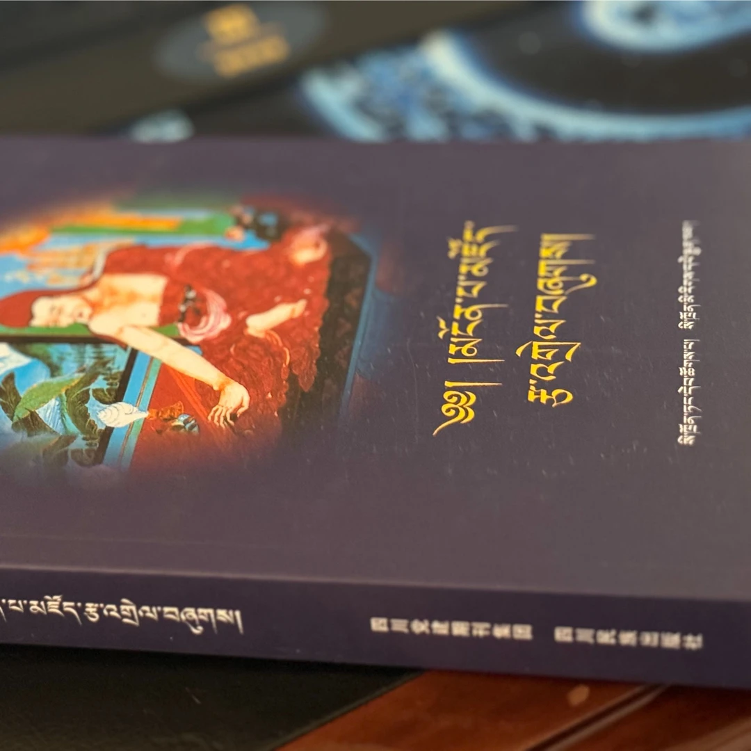 俱舍论详解：藏文