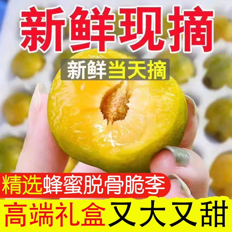 【空运】四川蜂蜜脱骨脆李青脆李精美礼盒包装四川应季水果