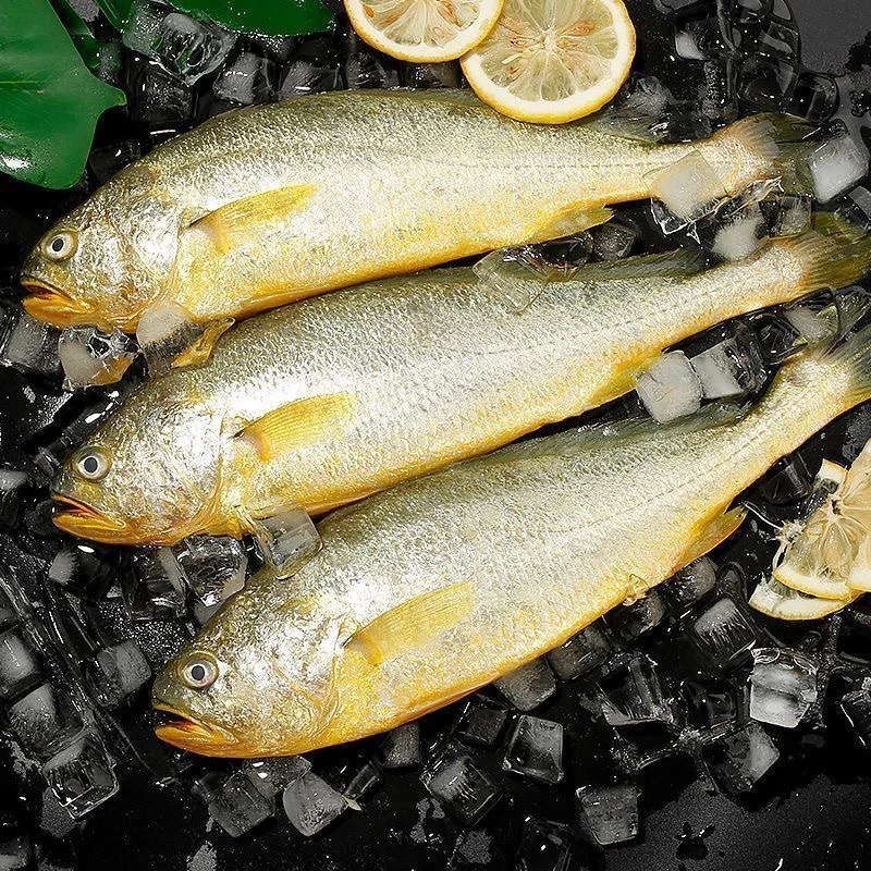 【顺丰发货】新鲜黄鱼段去头去内脏250g/包