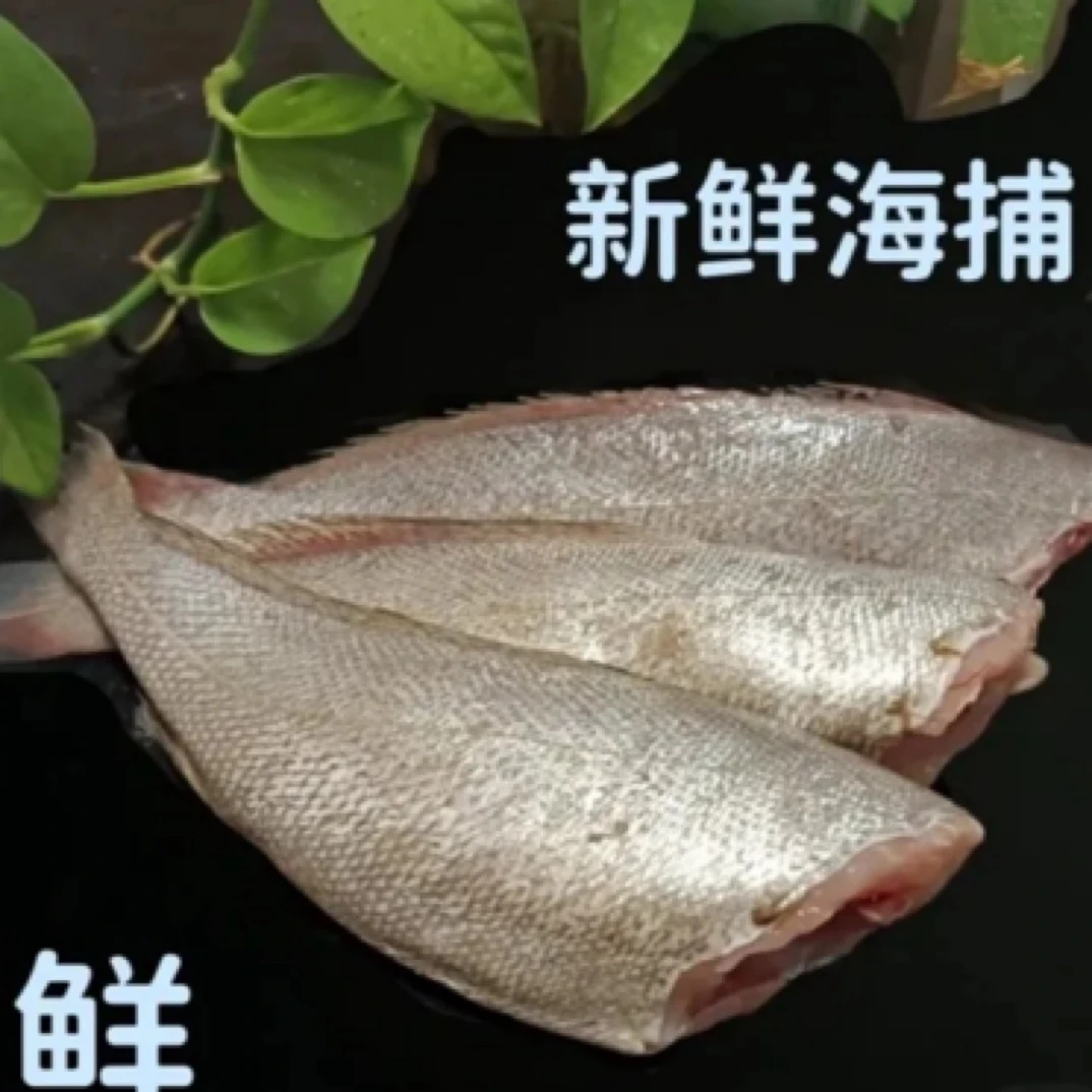 连云港发货 海鱼去头去内脏鳘鱼无冰衣净重5斤（一斤2-3条）