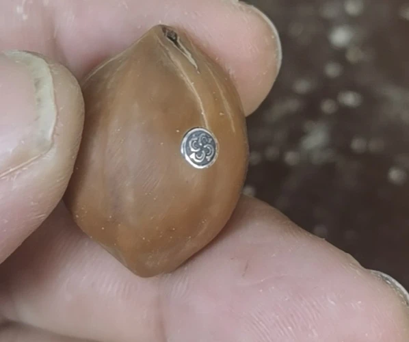 非金属木质吊坠 一程铁核纯银银标镶嵌
