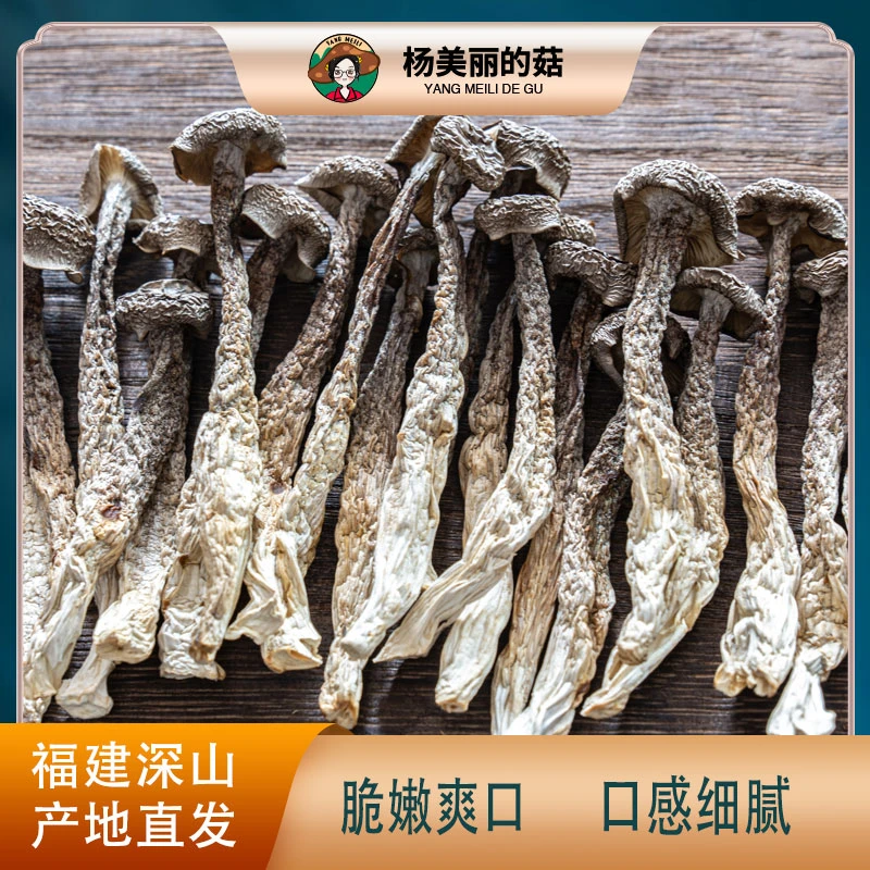 【杨美丽】鹿茸菇蘑菇甄选农家无硫脆脆菇鲜嫩美味产地直发蘑菇干货