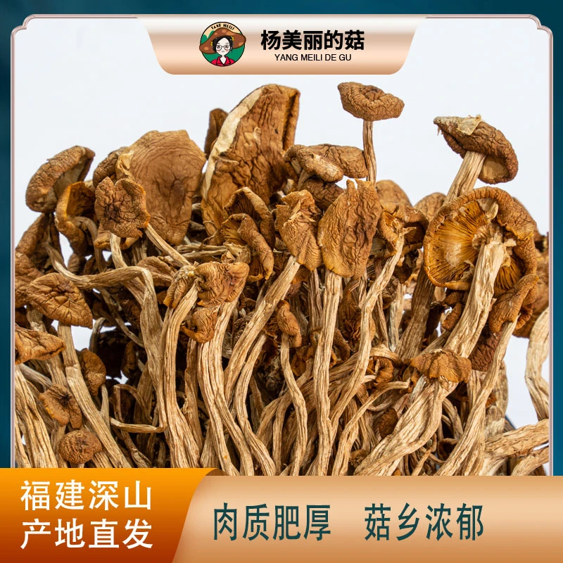 杨美丽】茶树菇干货甄选农家产地特产食用炖汤新鲜烘干多拍多送50g