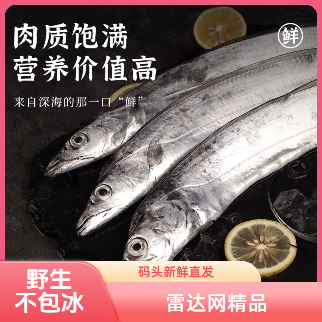 【家庭装】【大带】舟山带鱼精选雷达网新鲜小眼油带 码头直发顺丰