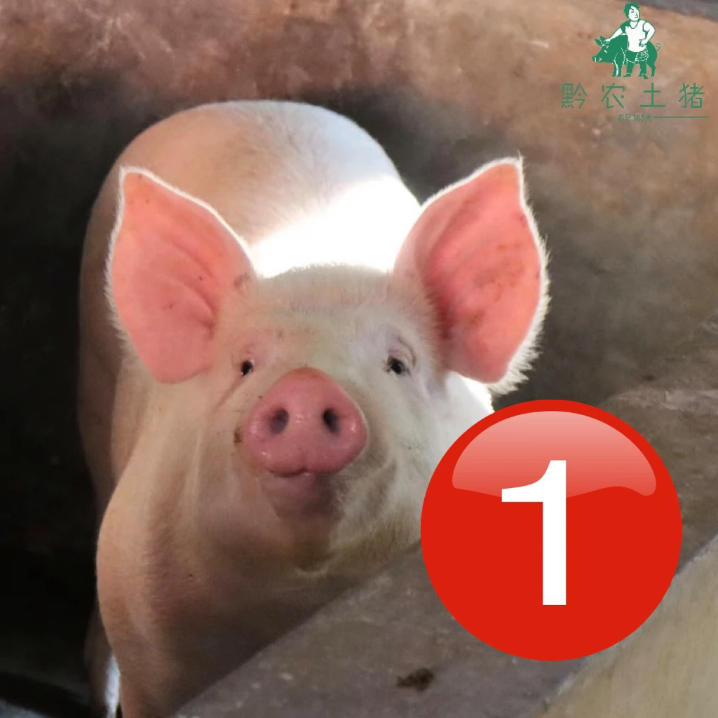 农村正宗熟食土猪肉全肉1号链接【一单一秤一拍】