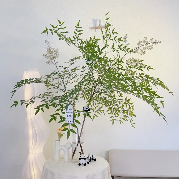 【拍一发二】南天竹水培植物北欧风鲜切枝室内家居花卉高颜文艺吊钟