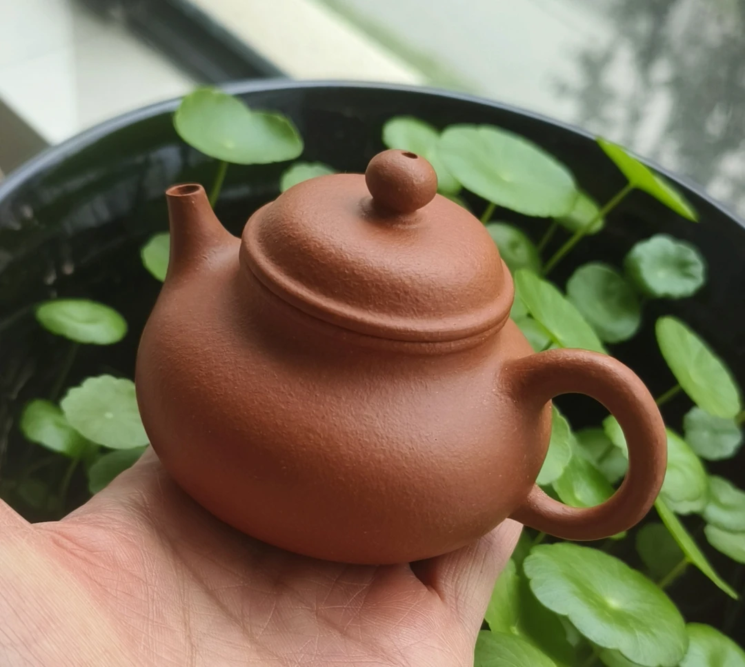 紫砂壶红降坡容天，100cc
