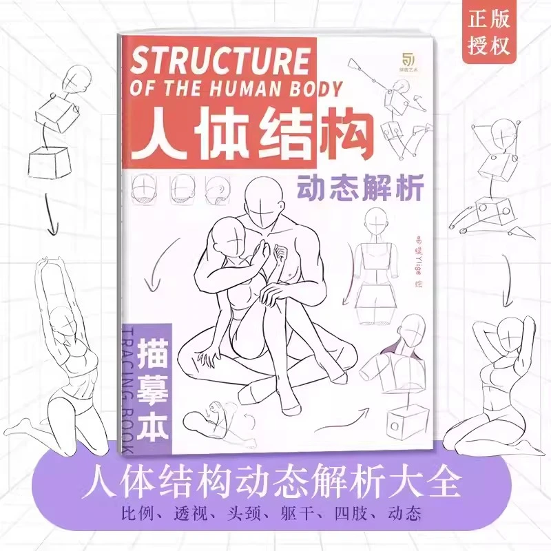 人体结构动态解析描摹本 易缇 速写人体临摹画册动漫人物动态素材