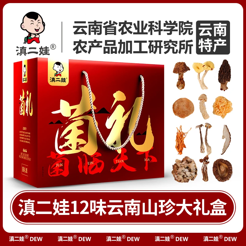 滇二娃菌临天下12味年货菌菇礼盒云南农科院干货送礼高档礼品礼物