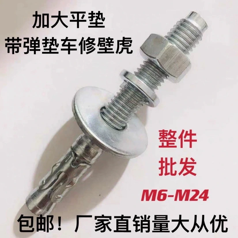 国标车修壁虎膨胀螺丝电梯专用膨胀螺栓 m10-m24 加大平垫镀锌铁