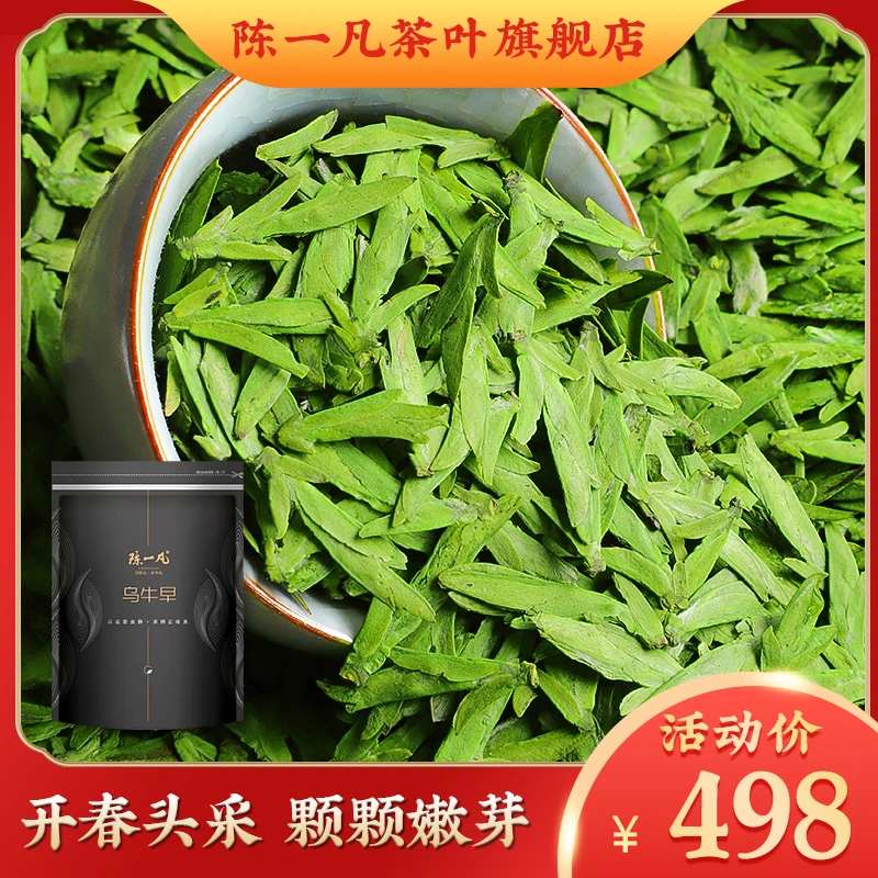 陈一凡2025新茶 乌牛早茶叶绿茶 明前特级春茶精选高山头采全嫩芽