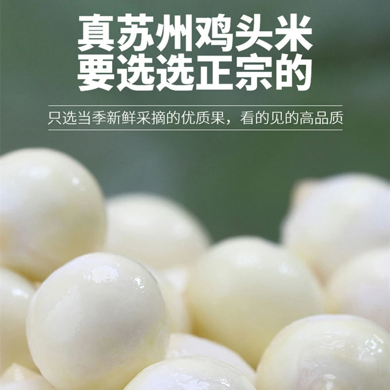 鸡头米新鲜2024新货大颗粒正宗苏芡芡实米葑门南塘村苏州特产