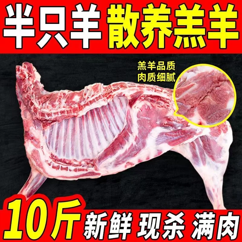 手抓羊肉【半只羊10斤羊肉称重内蒙羔羊】一只羊原切羊排羊腿羊蝎子