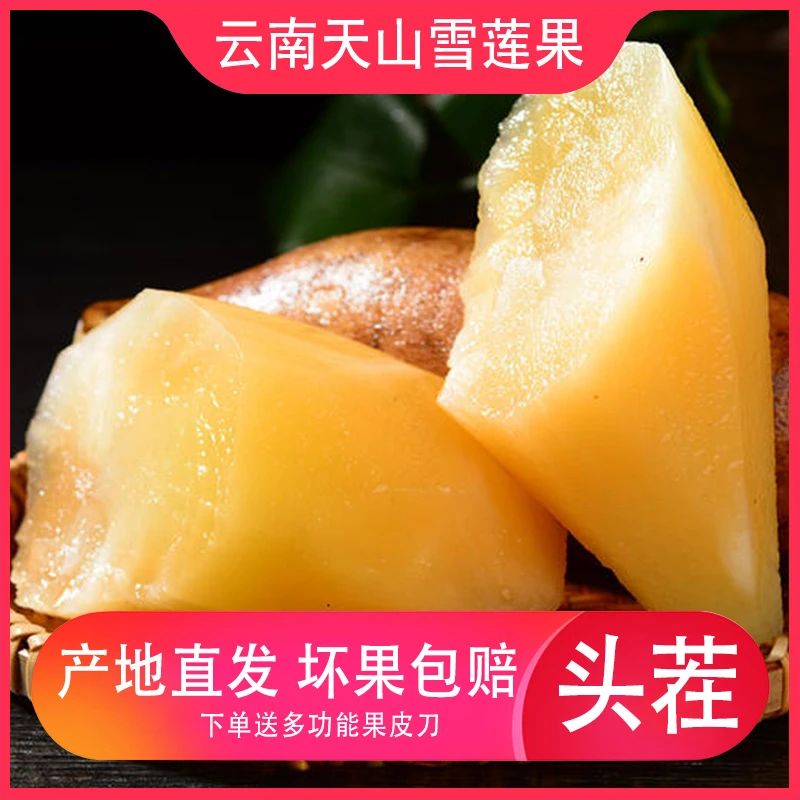 正宗云南天山雪莲果高海拔种植水果清甜多汁产地现货直发整箱包邮