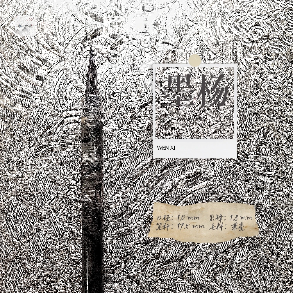 【墨杨】黑尖紫豪入门级小楷