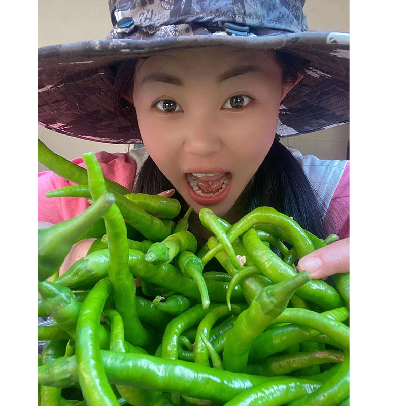 新鲜辣椒青线椒二荆条中辣辣椒椒味儿浓2500g包邮