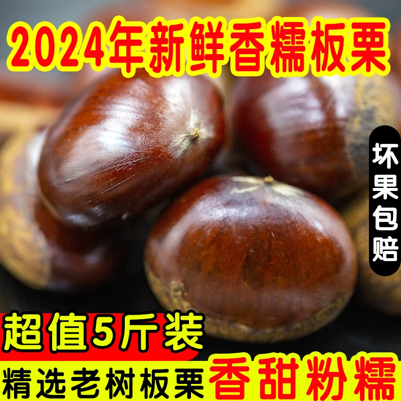 新鲜板栗栗子生栗子新货小毛油板栗菜板栗新鲜蔬菜非锥栗多仓发货