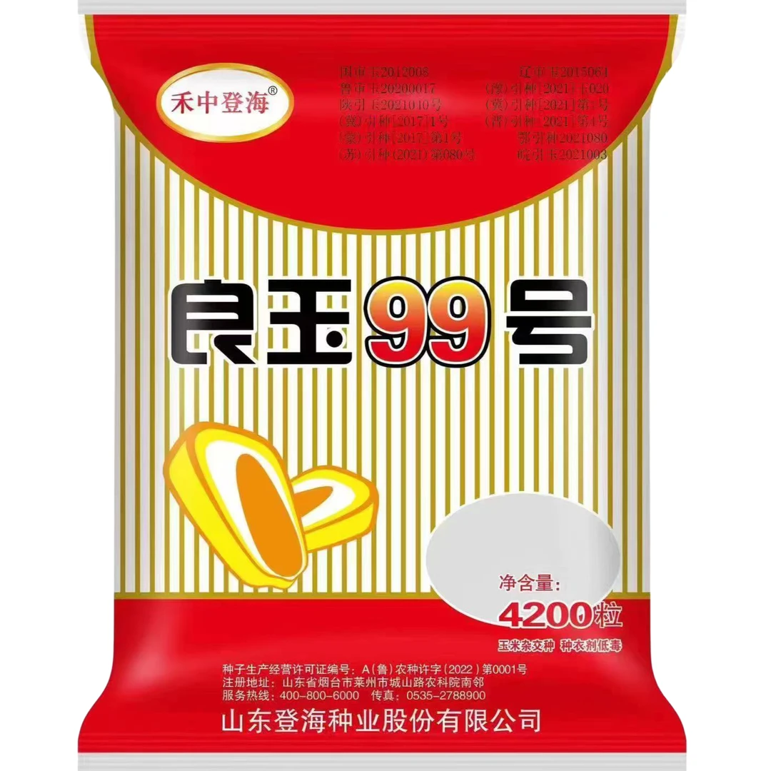 登海良玉99玉米种子