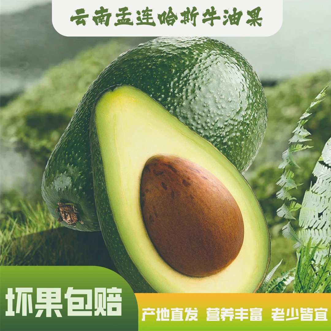 【超长售后】正宗哈斯牛油果云南孟连直发牛油果直播卖货第一名