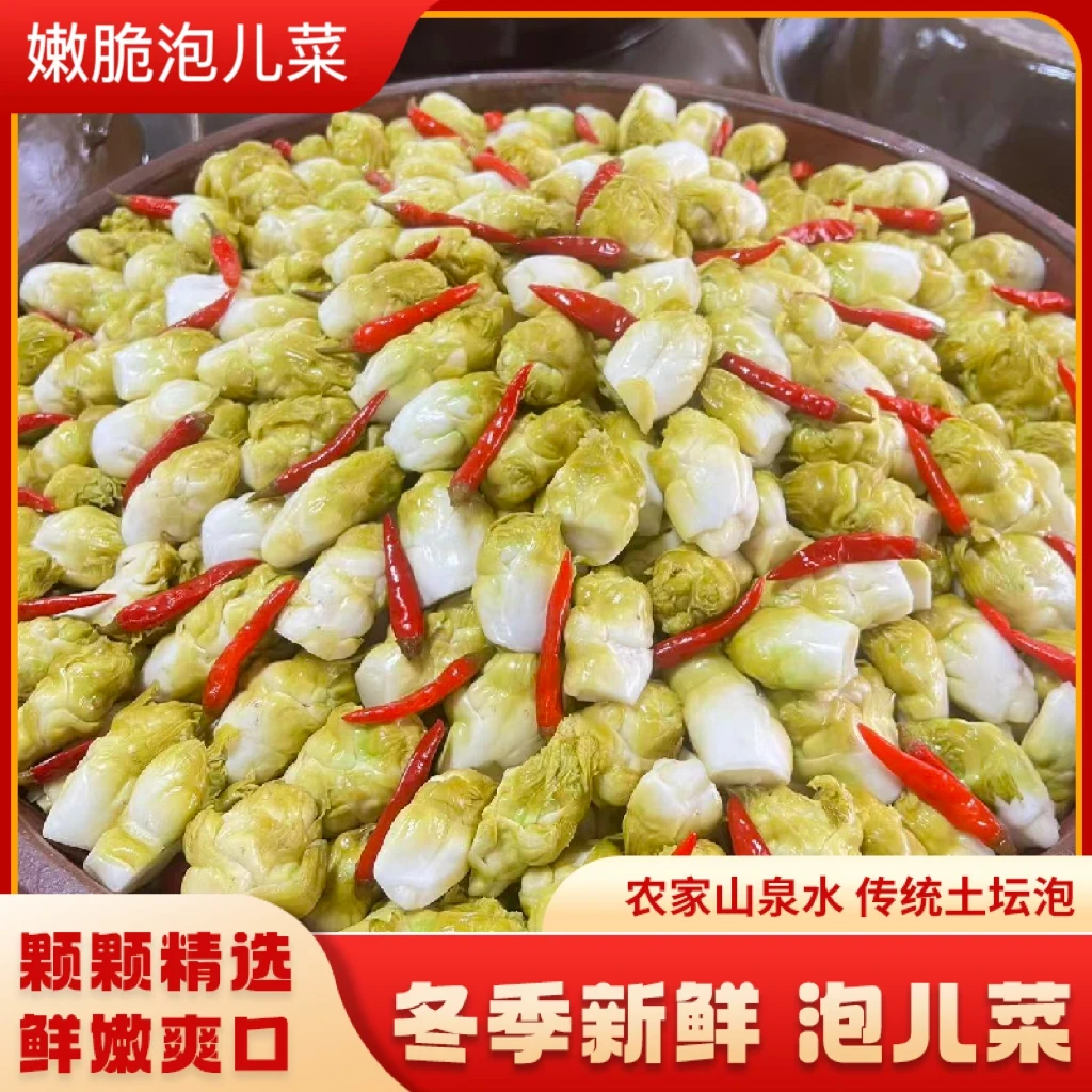 天承【冬季新鲜泡儿菜】四川传统老坛泡菜土坛脆嫩爽口泡儿菜tw