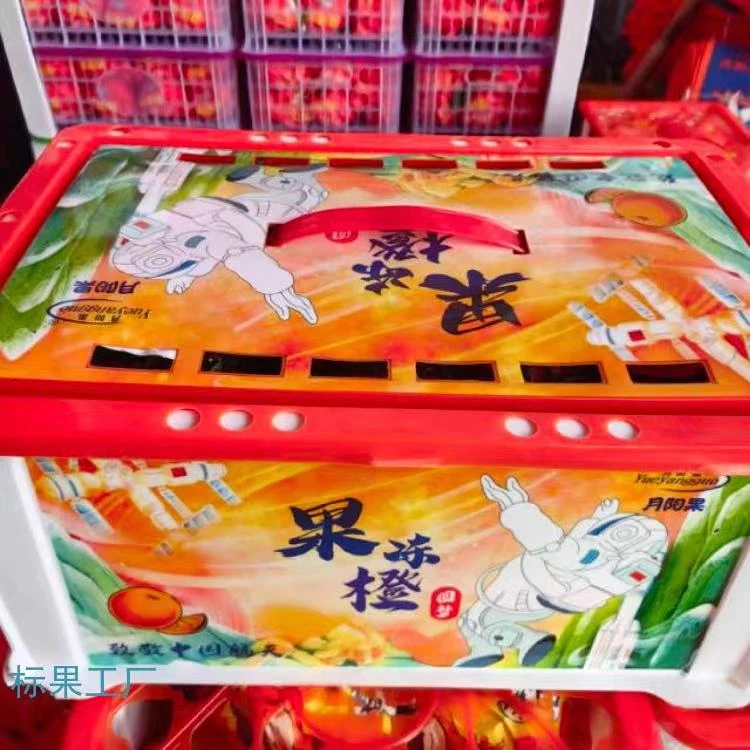 月阳果果冻橙6斤装卖35箱