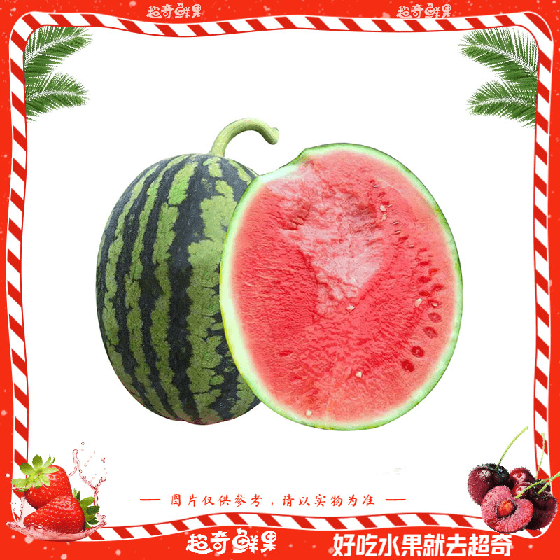 【主播推荐】西瓜界的天花板，甘美4k西瓜（整个，脆甜多汁）