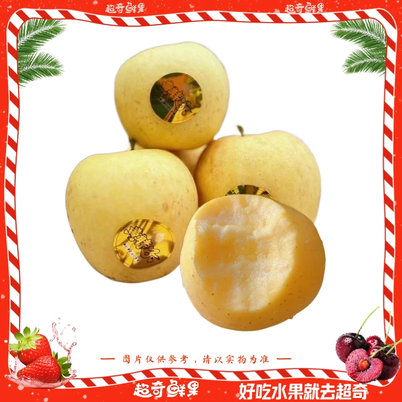 【精品甄选】维纳斯苹果 中大果