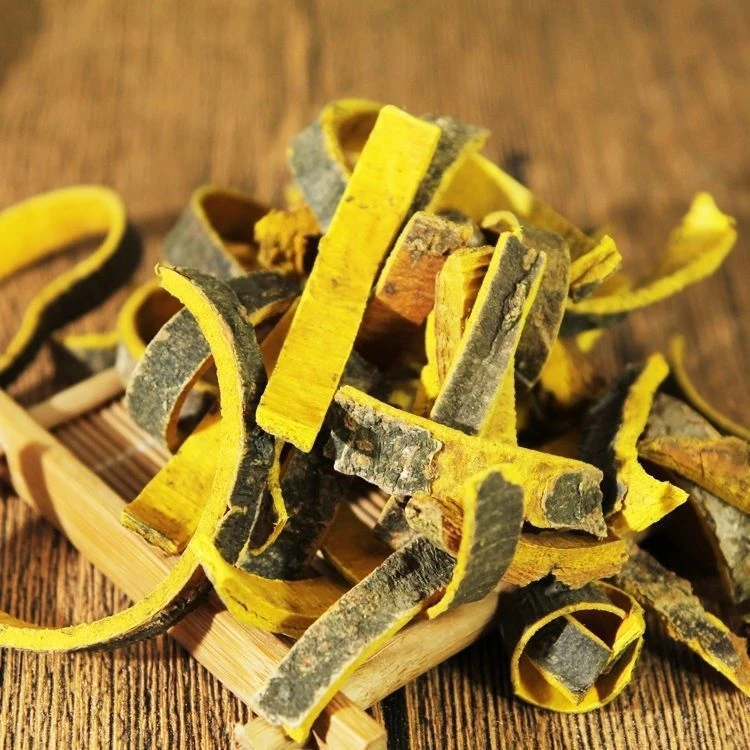 黄柏【100g/250g/500g】无硫黄柏黄柏打粉新鲜黄柏粉搭生姜