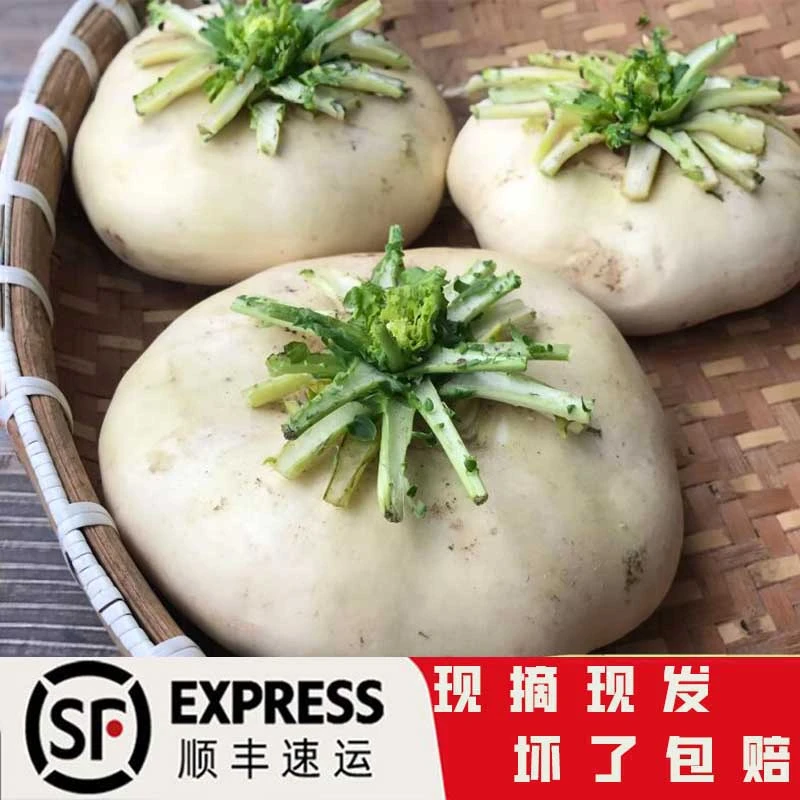 【索味】一份5斤农家新鲜盘菜甜软萝卜扁菜头盘菜