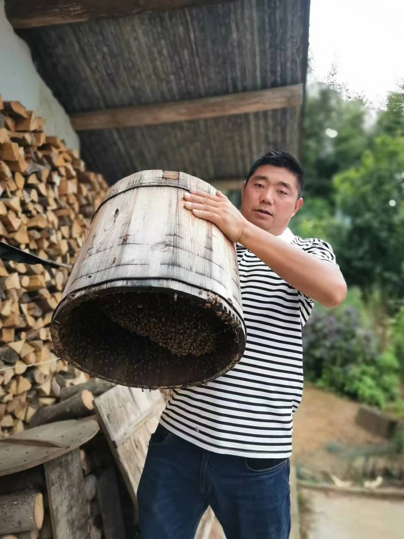 【假一赔十】正宗高山纯散养土蜂蜜258g500g980g包邮到家(破损包赔）