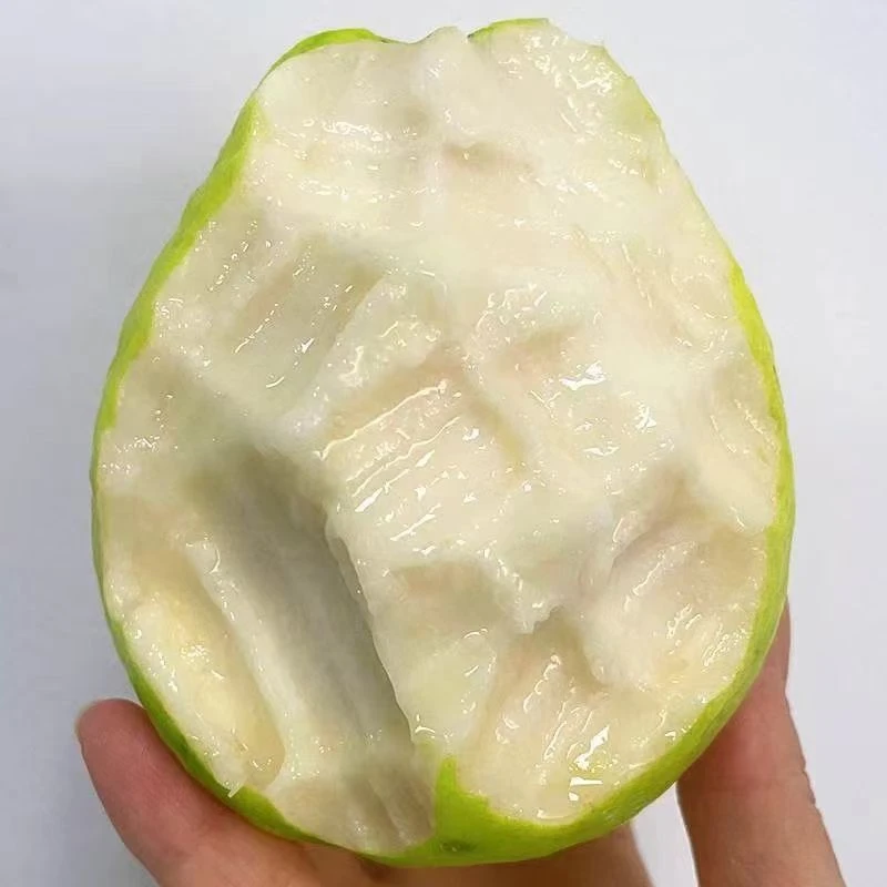 【红心软糯】广西白心软糯多汁奶油红心芭乐当季水果番石榴水果新鲜