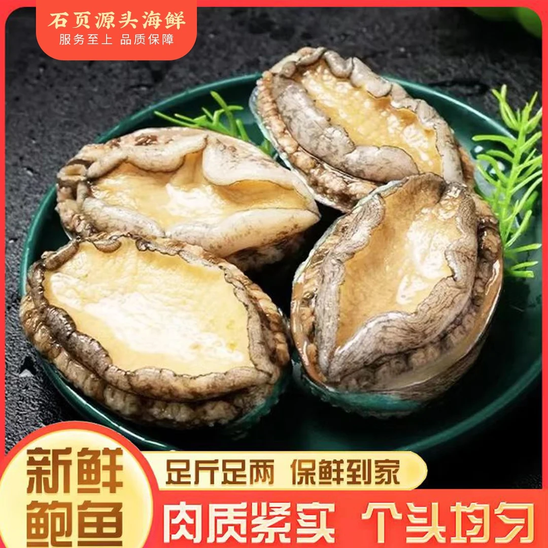 精选鲍鱼10-12头/斤口感鲜嫩滋补多种食用海水冷冻原生态急冻锁鲜