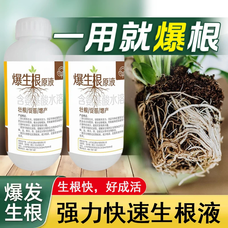 植物通用型快速强力生根液农用生根剂扦插用树木壮苗剂弱苗叶面肥