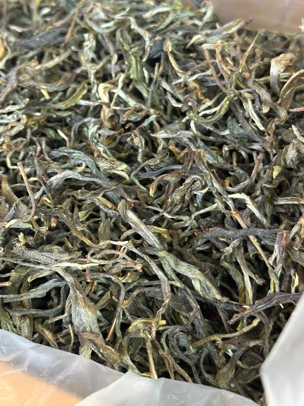 2024年墨江景星凤凰窝古树生茶250克/500克