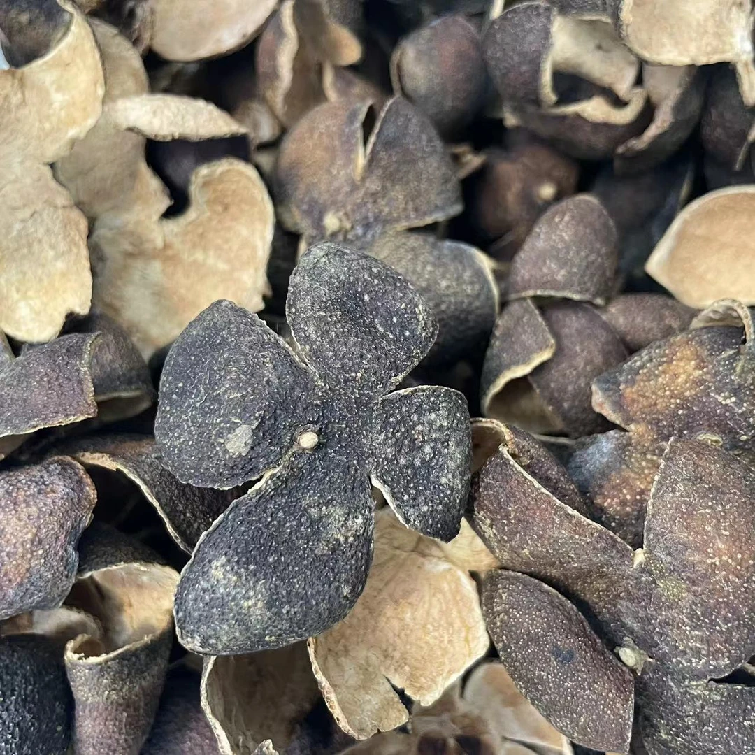 【老青皮福利】天马10年陈圈枝四花青薄荷香断片 回甘甜润 新会发货