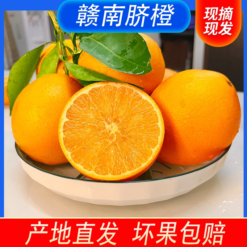 正宗江西橙子赣南脐橙甜橙子美味大橙子新鲜采摘当季水果产地直发