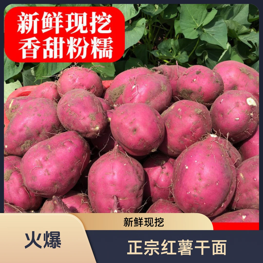 海南特产桥头地瓜干面番薯板栗味香甜软糯红薯现挖新鲜农产品5斤
