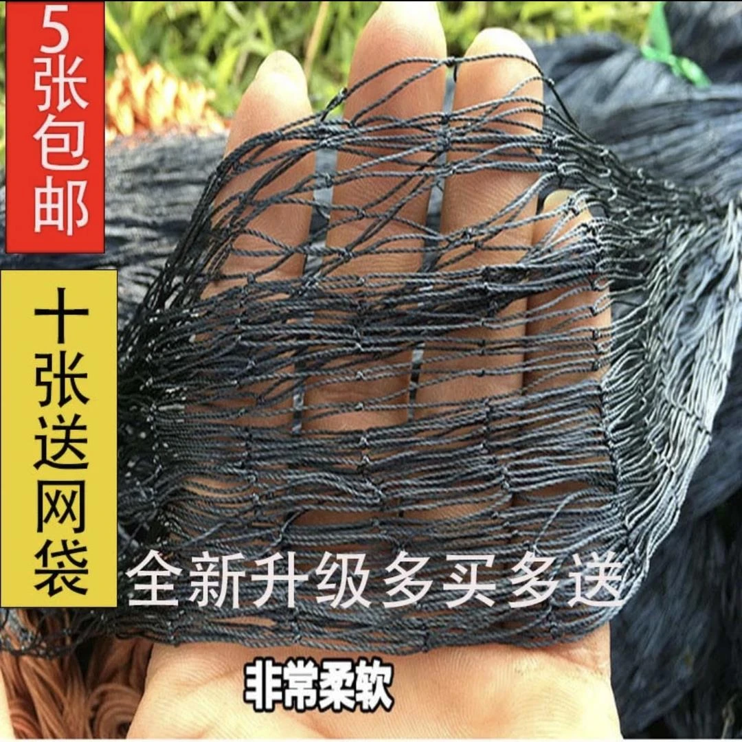 加粗防蛇网长虫网黑色尼龙网渔网栏蛇网尼龙网地拦鸡鸭鹅网眼使用