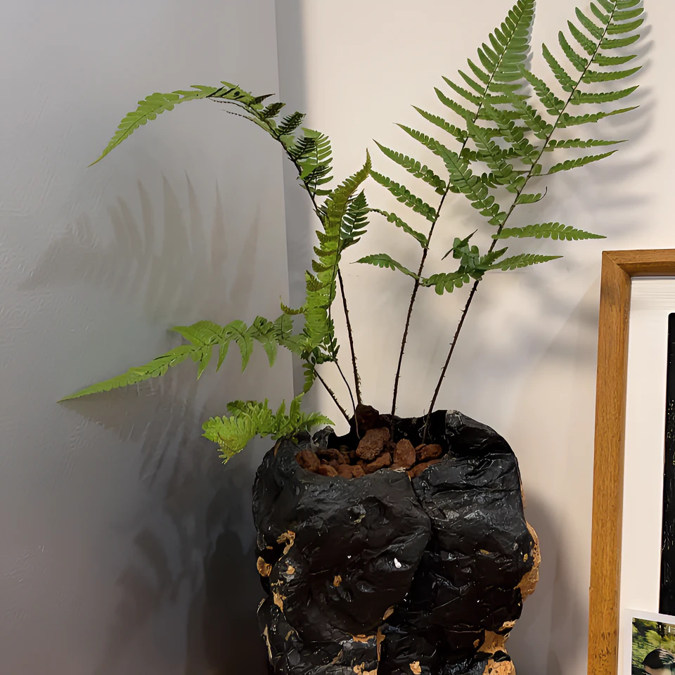 灵璧石天然造型花盆景观石盆绿植水培种植盆景