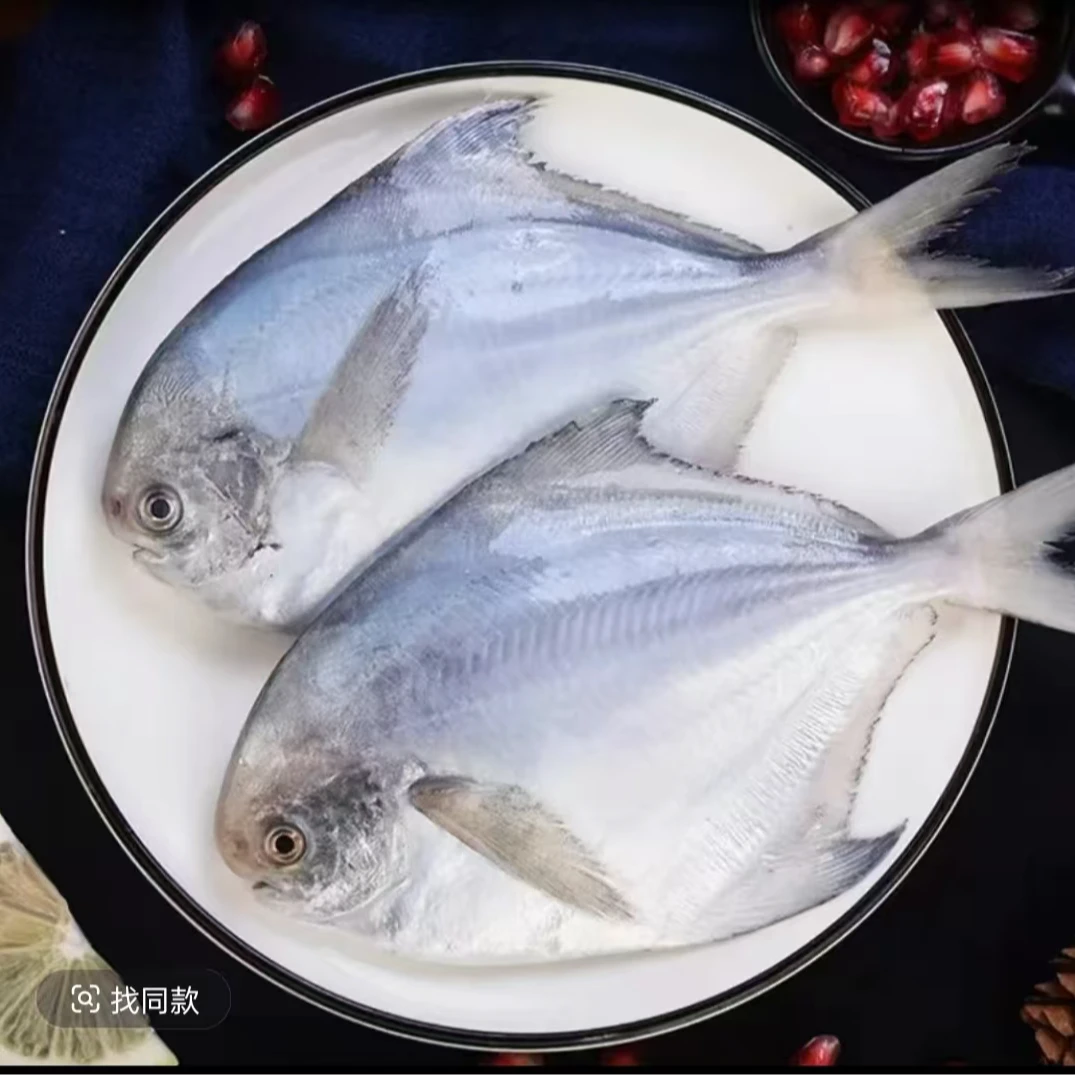 野生海捕银鲳鱼 5斤 （6条左右/斤）新鲜速冻顺丰冷链发货