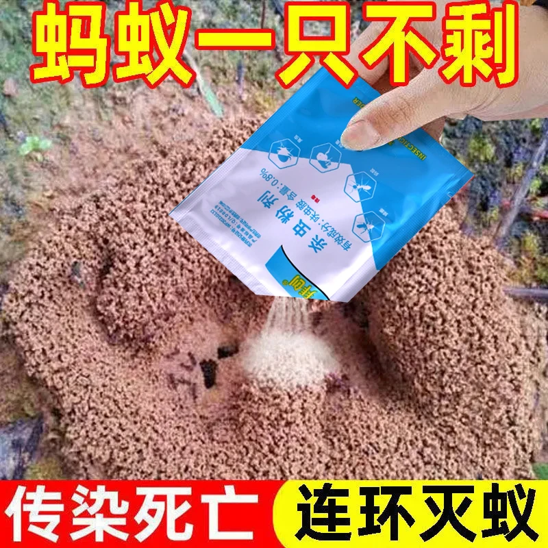 【专杀蚂蚁】灭蚂蚁药粉室内厨房家用全窝端强效灭蚁神器杀黑红蚂蚁