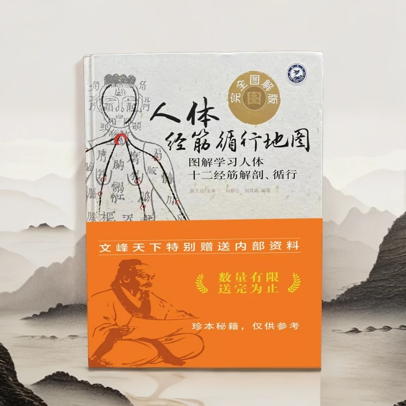 【正版】人体经筋循行地图中医理论书籍自学入门经络穴位分布图