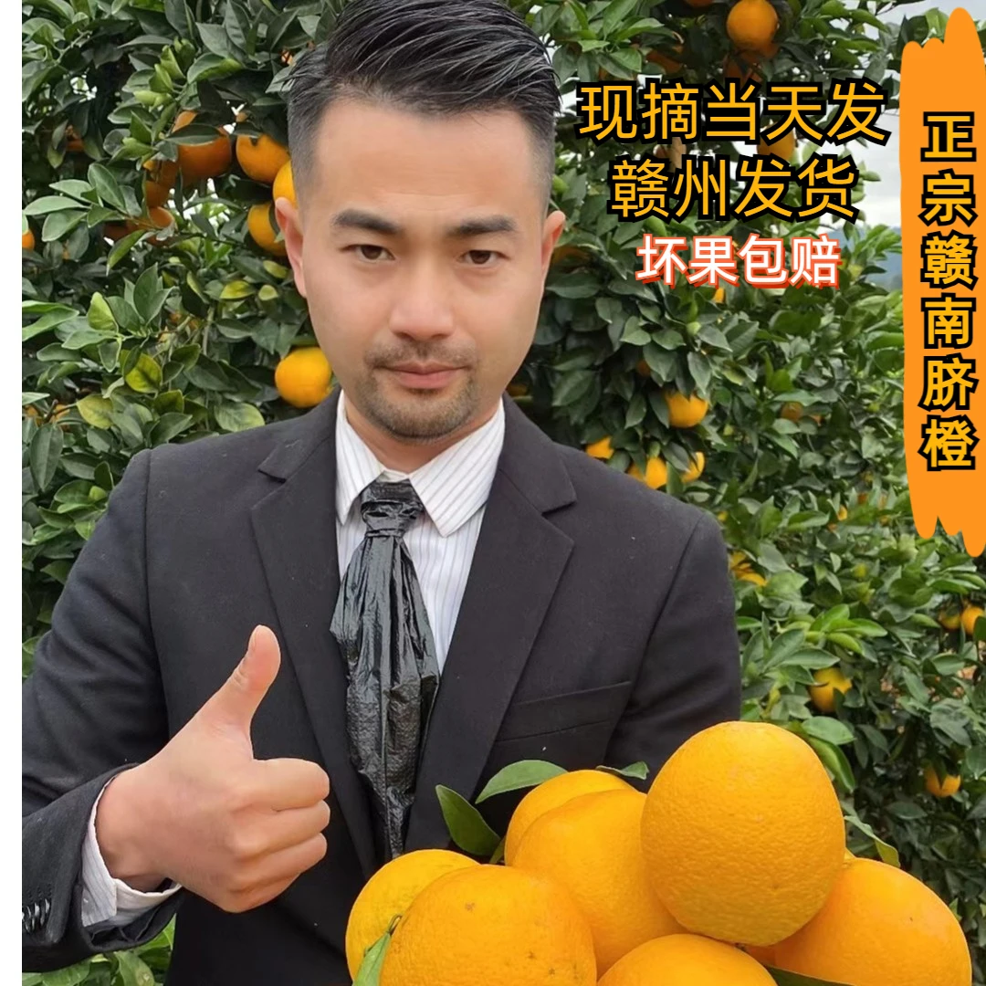 【队长专属】正宗赣南脐橙果园新鲜采摘精品果五斤十斤二十斤装