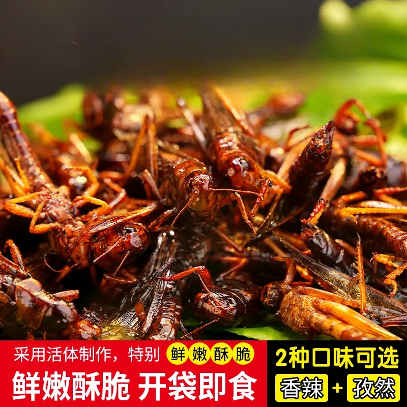 香脆油炸鲜香蚱蜢即食蝗虫小吃零食下酒菜香辣精选特色美食
