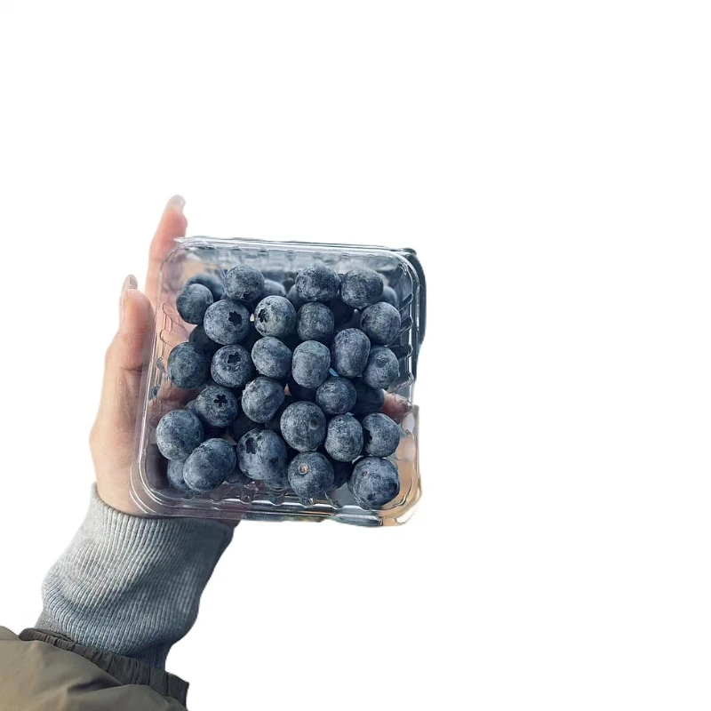 蓝莓（小）