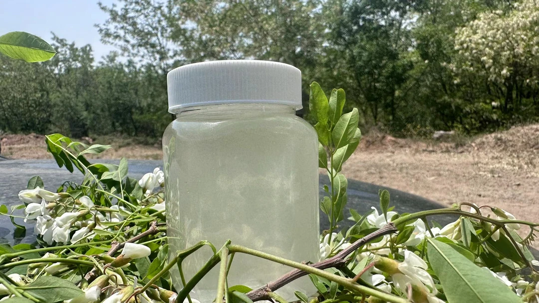 2025年 洋槐花蜜农家自养自销