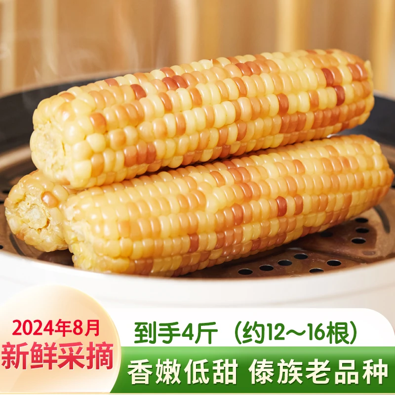 （试吃1根）西双版纳小花糯玉米老品种4斤（12~16根）新鲜真空包装