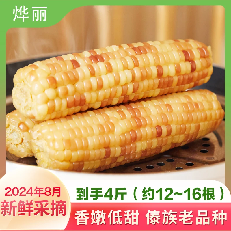 （试吃1根）西双版纳小花糯玉米老品种4斤（12~16根）新鲜真空包装